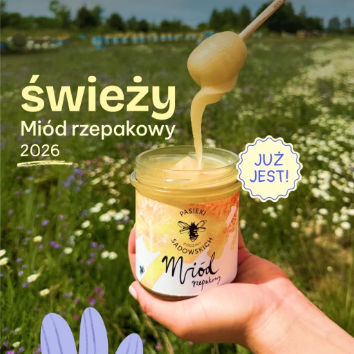 swieży miod rzepakowy 2026_1080x1080-2.png