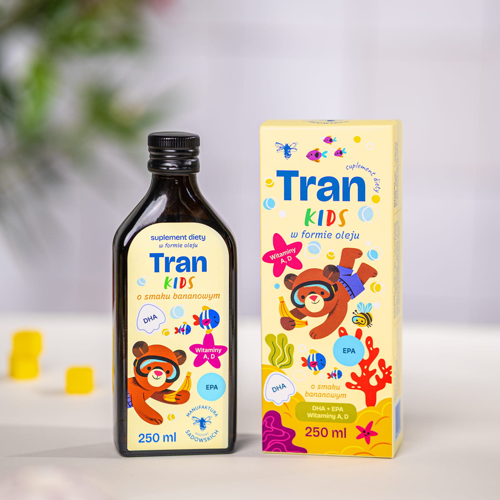 Tran KIDS